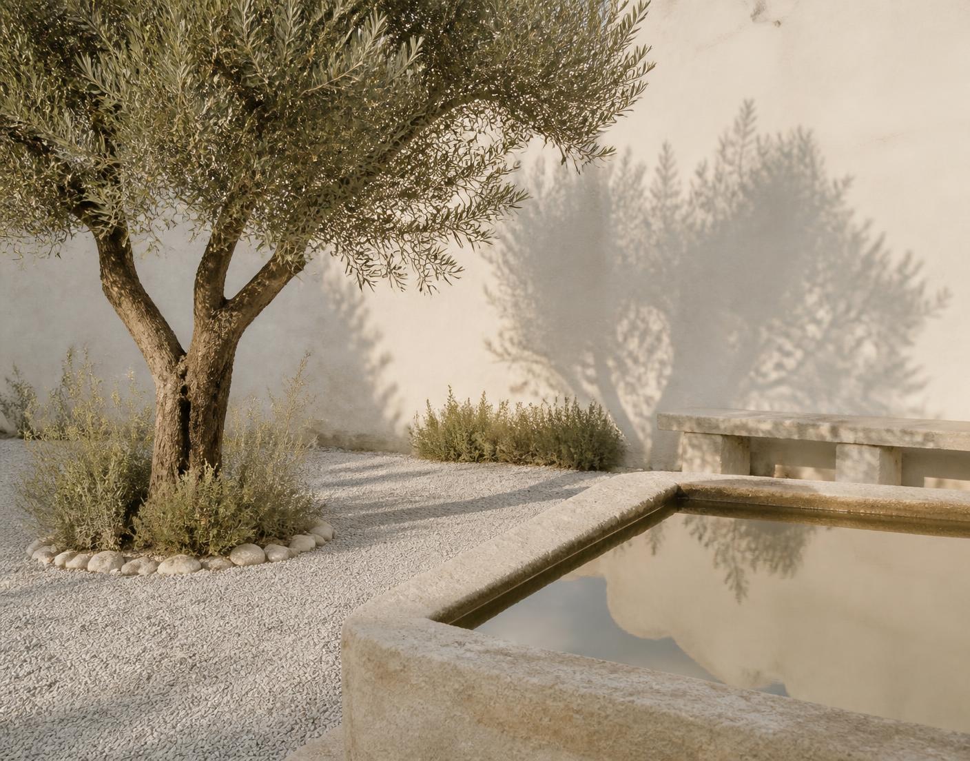 Le jardin de La Maison : un olivier, un mur de chaux blanche, un bassin d'eau calme